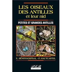 Les oiseaux des Antilles et leurs nids : Petites et grandes Antilles
