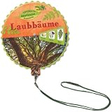 Produkt-Bild: Coppenraths Naturforscher-Drehscheibe: Laubb&auml;ume: (Verkaufseinheit)