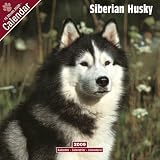 Eigenschaften Avonside Publishing Ltd.  / Kalender 2009 Siberian Husky