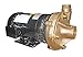 Dayton Bronze 2 HP Centrifugal Pump 208-230/460V, 2ZXA6