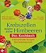 Krebszellen m�gen keine Himbee
