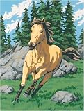 Learn To Paint! Paint By Number Kit 9X12-Wild Mustang