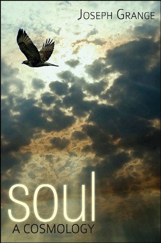 Soul: A Cosmology (Cosmology Trilogy)