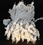 Novelty Lights, Inc. CG100-W-CL Commercial Grade Clear Mini Christmas Light Set, White Wire, 100 Light