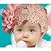 Doinshop Colorful Baby Kids Lace Flower Headband Hair Bow Band Accessories Headwear (pink)