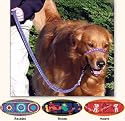 Gentle Leader Hinged Dog Training Pouch