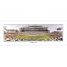 Everlasting Images Cincinnati Bengals Photo