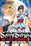 Saint Seiya The Lost Canvas 1: Hades Mythology (Spanish Edition)