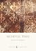 Medieval Tiles (Shire Album)