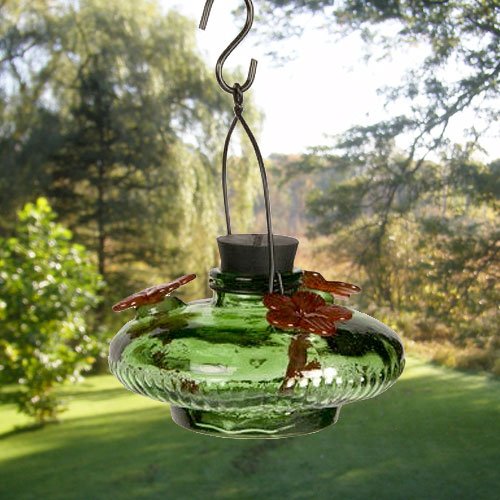Bloom Hummingbird Feeder Green