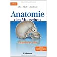 Anatomie des Menschen