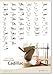 STOTT PILATES Wall Chart - Essential Cadillac, 27.00