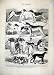 1875 DOG HOUND SHOW ALEXANDRA PALACE FEEDING OLD PRINT