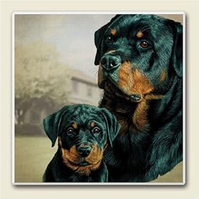 Click here to buy AbsorbaStone Coaster set~ Rottweiler ~4 Tile Drink Coasters ~ code 859C by Artworks Home Accents.