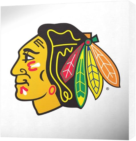 NHL Colorado Avalanche White Logo Canvas Print (20 x 20)