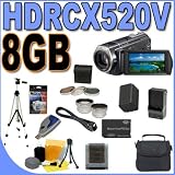 Sony HDR-CX520V 64GB Flash High Definition Camcorder (Black) BigVALUEInc Accessory Saver 8GB PRODuo FH100 Replacement Battery/Rapid External Charger Bundle