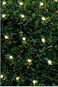 GKI/Bethlehem  Lighting 4-Foot-by-6-Foot Indoor/Outdoor LED Christmas Light Net, Warm White