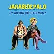 Jarabe de Palo