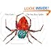 The Very Busy Spider