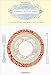 Elements of the Table: A Simple Guide for Hosts and Guests