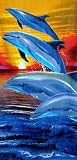 Dolphins Sunset Jump Terry Velour Beach Bath Towel