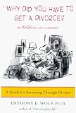 Why Did You Have to Get a Divorce? And When Can I Get a Hamster?: A Guide to Parenting Through Divorce (Paperback)