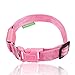 ILLUMISEEN LED Dog Collar USB Rechargeable - Bright & High Visibility Lighted Glow Collar for Pet Night Walking -Weatherproof, in 6 Colors & 6 Sizes (Pink Large)