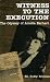 Witness to the Execution: The Odyssey of Amelia Earhart