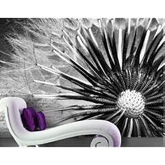 FotoTapete No.83 "DANDELION POEMS" 400x280cm Schwarz Wei�, Pusteblume, Blume, Natur, Schrift, Detail, Makro, g�nstig, Photo Wall Mural
