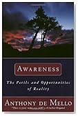 Awareness: The Perils and Opportunities of Reality