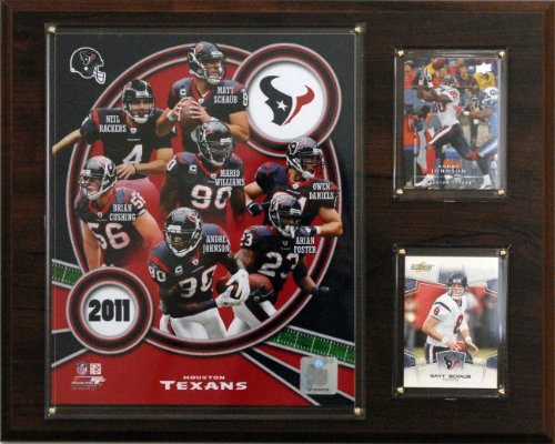 NFL Houston Texans 2011 Team Plaque