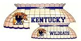 University of Kentucky Wildcats UK Pool Table Light