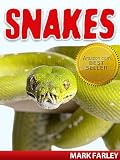 Snakes - Facts About the Most Polarizing Animals on Earth Plus Videos (Snakes & Reptiles)