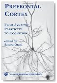 Prefrontal Cortex: From Synaptic Plasticity to Cognition