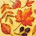 Serviette Herbstfrüchte ochre