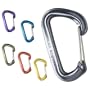 Black Diamond Neutrino Carabiner