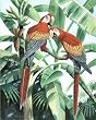 Animal Parrots Birds Tropical Art Print POSTER Safari - 13x19