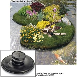 island land scape fish pond plants