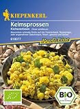 Keimsprossen Bio Kichererbsen