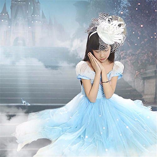 Hallowkid® Kids Children Girl Cinderella Princess Summer Cosplay Babble Dress