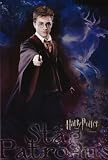 Harry Potter 5 (Stag Patronus) Movie Poster Print - 24