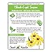 500 Seeds, Black-Eyed Susan (Rudbeckia hirta) Seeds by Seed Needs