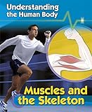 Muscles and the skeleton