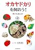 オカヤドカリを飼おう!―飼い方と楽しみ方