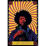 Jimi Hendrix Experience Music Poster - 24x36
