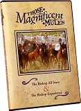 Those Magnificent Mules Disc 3-The Bishop All Stars & The Bishop Experience