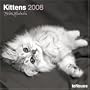 Kittens 2008 Calendar