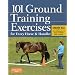 101 Ground Training Exercises for Every Horse & Handler