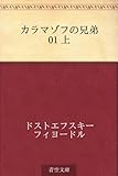 カラマゾフの兄弟 01 上