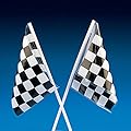 12 Black and White Checkered Racing Nascar Flags Party Favors Loot Bags